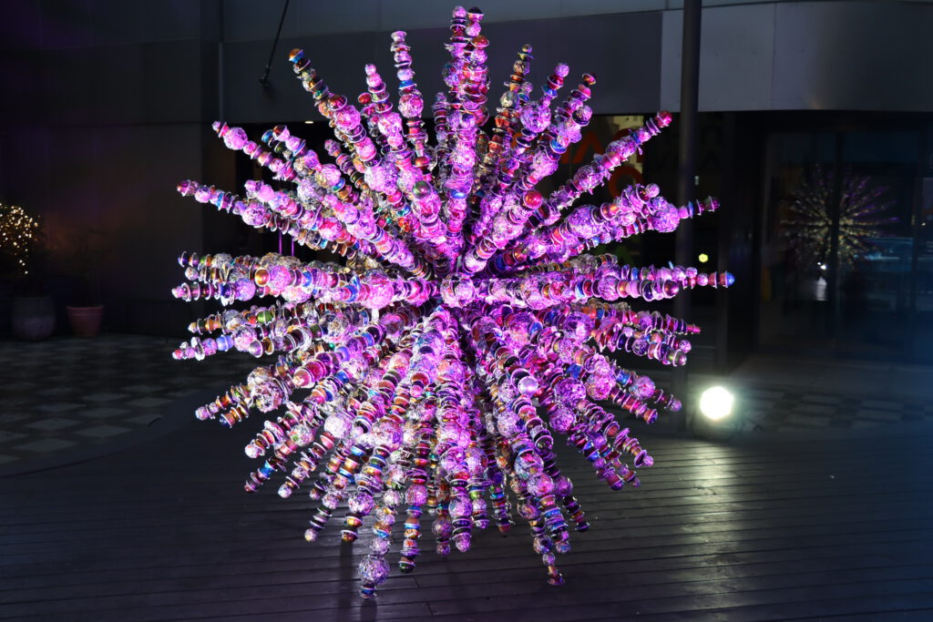 새 생, 비타 노바