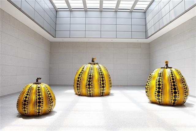 그레이트 자이언트 펌프킨. 구사마의 호박 시리즈. 대구미술관 제공