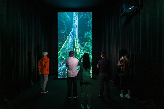 마시멜로우 레이저 피스트 ‘보이지 않는 숲의 비밀’